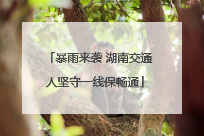 暴雨来袭 湖南交通人坚守一线保畅通