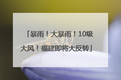 暴雨！大暴雨！10级大风！福建即将大反转