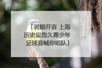 暑期开赛 上海历史最悠久青少年足球赛喊你组队