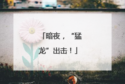 暗夜，“猛龙”出击！