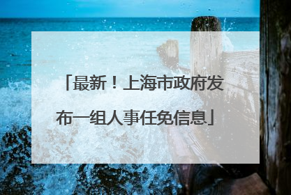 最新！上海市政府发布一组人事任免信息