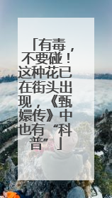有毒，不要碰！这种花已在街头出现，《甄嬛传》中也有“科普”