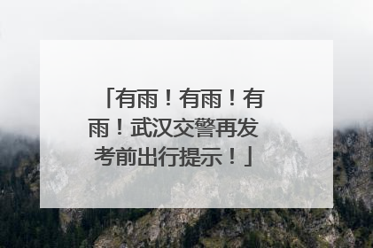 有雨！有雨！有雨！武汉交警再发考前出行提示！