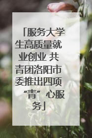 服务大学生高质量就业创业 共青团洛阳市委推出四项“青”心服务