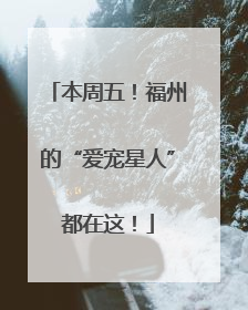 本周五！福州的“爱宠星人”都在这！