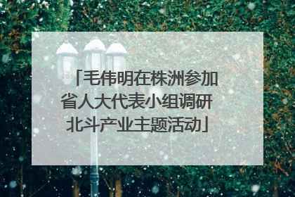 毛伟明在株洲参加省人大代表小组调研北斗产业主题活动