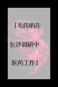 毛伟明在长沙调研中医药工作