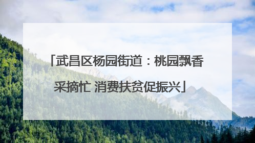 武昌区杨园街道：桃园飘香采摘忙 消费扶贫促振兴