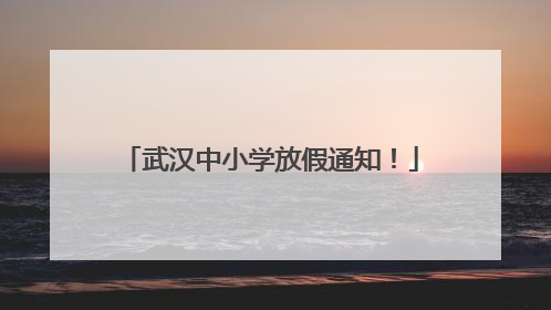 武汉中小学放假通知！
