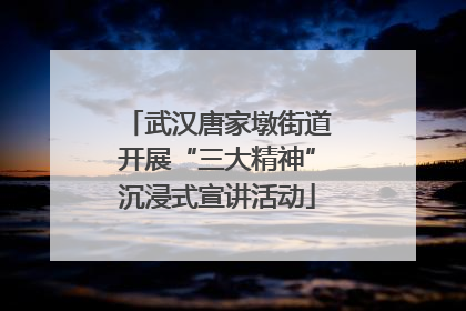 武汉唐家墩街道开展“三大精神”沉浸式宣讲活动
