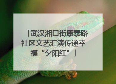 武汉湘口街康泰路社区文艺汇演传递幸福“夕阳红”