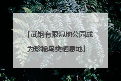 武钢有限湿地公园成为珍稀鸟类栖息地