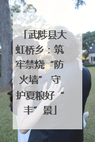 武陟县大虹桥乡：筑牢禁烧“防火墙” 守护夏粮好“丰”景