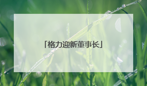 格力迎新董事长