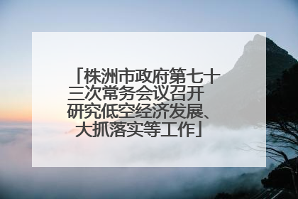 株洲市政府第七十三次常务会议召开 研究低空经济发展、大抓落实等工作