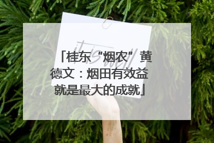 桂东“烟农”黄德文：烟田有效益就是最大的成就