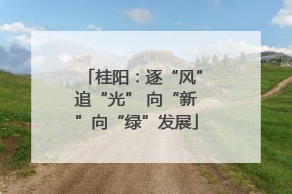 桂阳：逐“风”追“光” 向“新”向“绿”发展