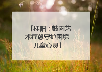 桂阳：鼓圈艺术疗愈守护困境儿童心灵