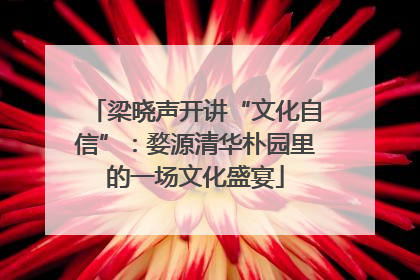 梁晓声开讲“文化自信”：婺源清华朴园里的一场文化盛宴