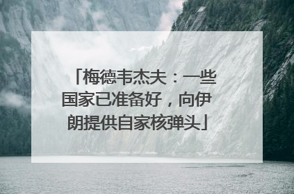 梅德韦杰夫：一些国家已准备好，向伊朗提供自家核弹头