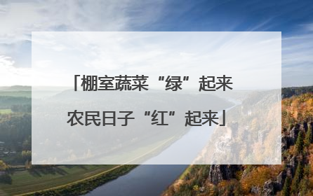 棚室蔬菜“绿”起来 农民日子“红”起来