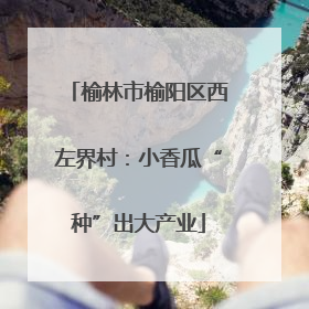 榆林市榆阳区西左界村：小香瓜“种”出大产业