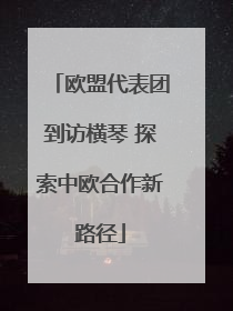 欧盟代表团到访横琴 探索中欧合作新路径