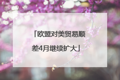 欧盟对美贸易顺差4月继续扩大