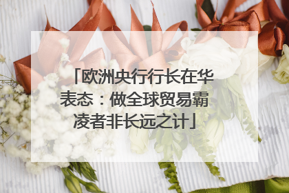 欧洲央行行长在华表态：做全球贸易霸凌者非长远之计