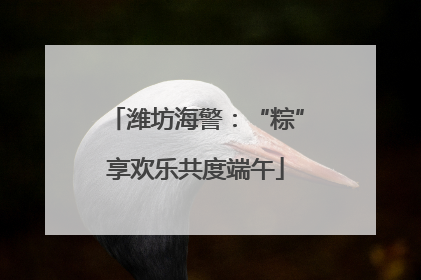 潍坊海警：“粽”享欢乐共度端午