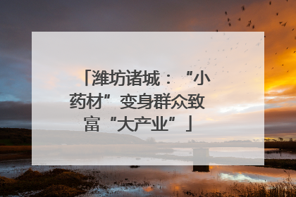 潍坊诸城：“小药材”变身群众致富“大产业”