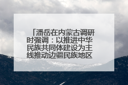 潘岳在内蒙古调研时强调：以推进中华民族共同体建设为主线推动边疆民族地区高质量发展