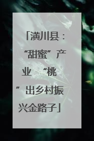 潢川县：“甜蜜”产业  “桃”出乡村振兴金路子