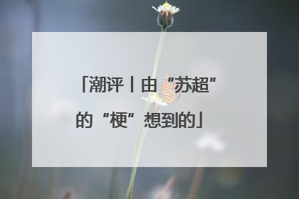 潮评丨由“苏超”的“梗”想到的