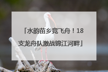 水韵苗乡竞飞舟！18支龙舟队激战锦江河畔