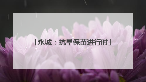 永城：抗旱保苗进行时