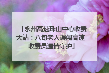 永州高速珠山中心收费大站：八旬老人误闯高速 收费员温情守护