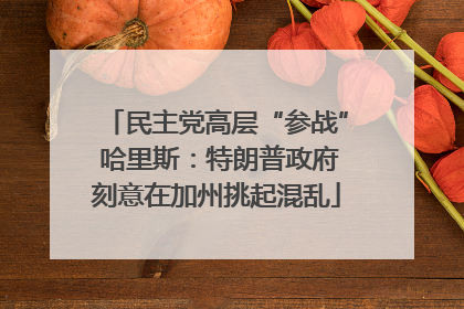 民主党高层“参战” 哈里斯：特朗普政府刻意在加州挑起混乱