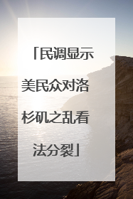 民调显示美民众对洛杉矶之乱看法分裂