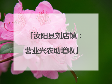 汝阳县刘店镇：薯业兴农助增收