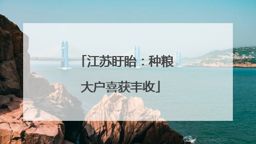 江苏盱眙：种粮大户喜获丰收