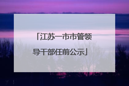 江苏一市市管领导干部任前公示