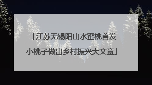 江苏无锡阳山水蜜桃首发 小桃子做出乡村振兴大文章