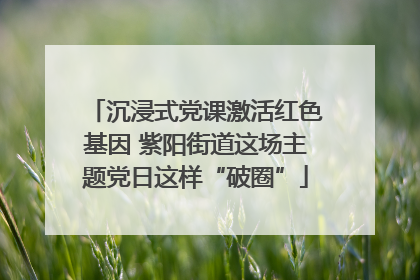 沉浸式党课激活红色基因 紫阳街道这场主题党日这样“破圈”