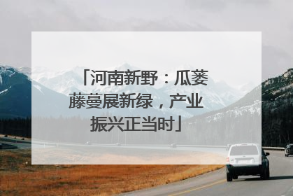 河南新野：瓜蒌藤蔓展新绿，产业振兴正当时