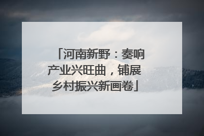 河南新野：奏响产业兴旺曲，铺展乡村振兴新画卷
