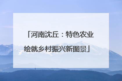 河南沈丘：特色农业绘就乡村振兴新图景