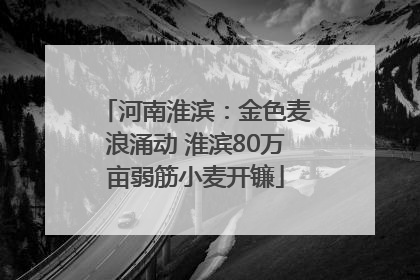 河南淮滨：金色麦浪涌动 淮滨80万亩弱筋小麦开镰