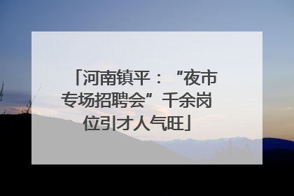 河南镇平：“夜市专场招聘会”千余岗位引才人气旺