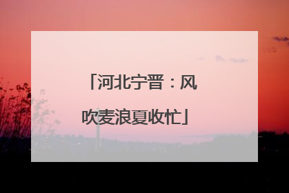 河北宁晋：风吹麦浪夏收忙